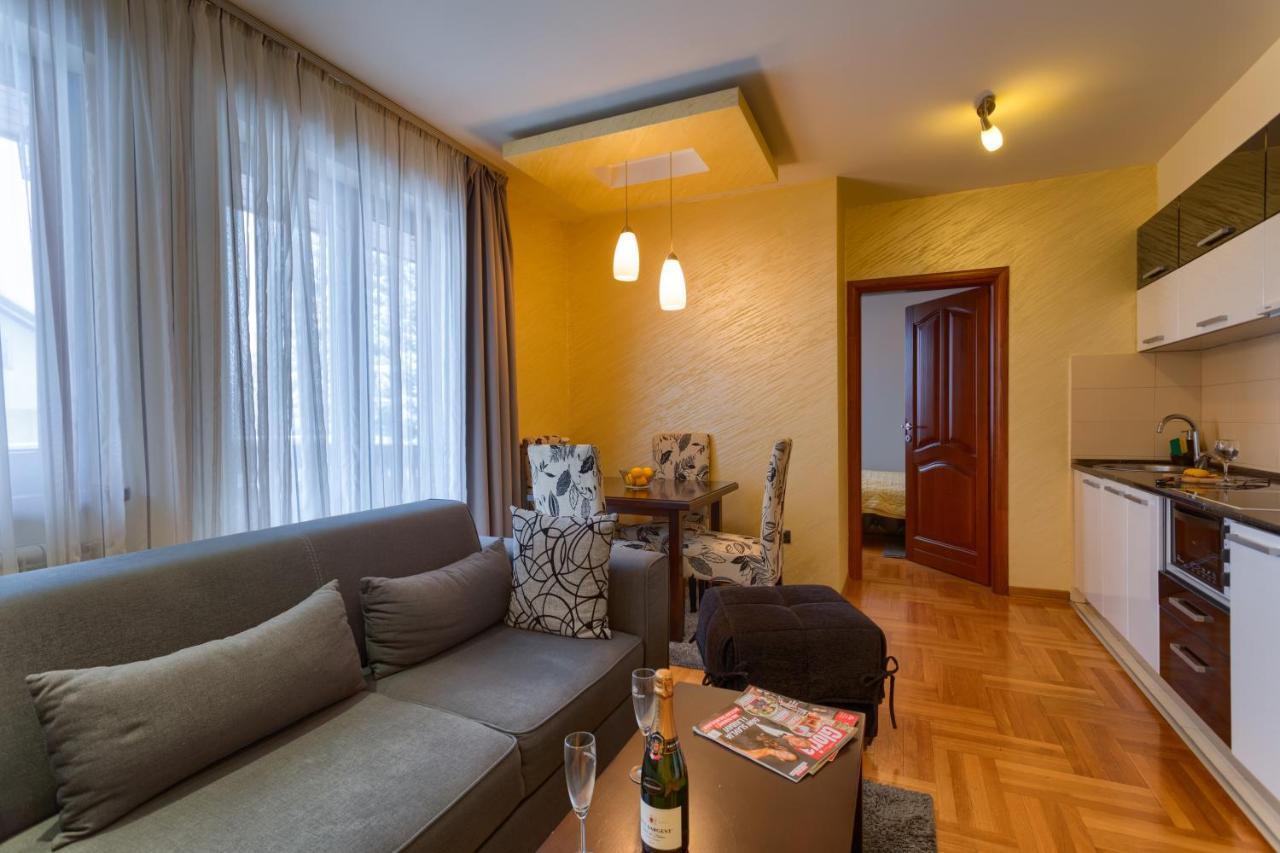 Vila Barovic And Spa Zlatibor Kültér fotó